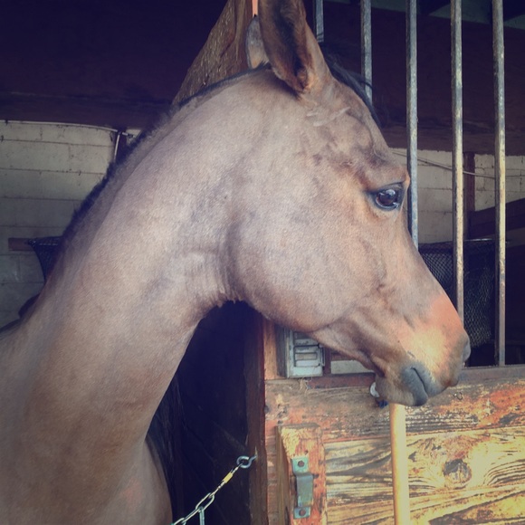 Not to buy - Picture 1 of 2